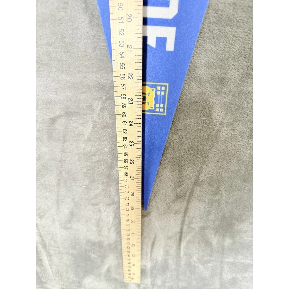 UC Riverside Pennant Felt College NCAA Official Licensed Blue Yellow 29 Inch